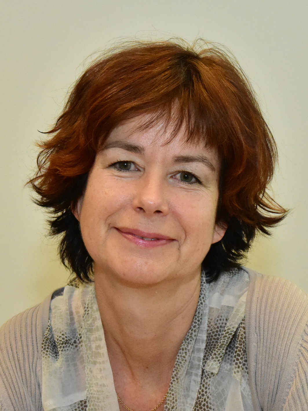 Henny van Dijk